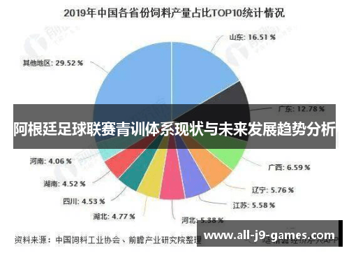 阿根廷足球联赛青训体系现状与未来发展趋势分析 阿根廷足球联赛青训体系现状与未来发展趋势分析